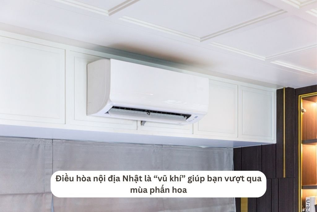 Điều hòa nội địa Nhật là “vũ khí” giúp bạn vượt qua mùa phấn hoa