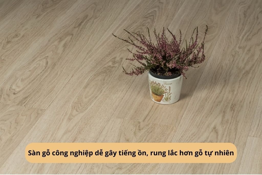 Sàn gỗ công nghiệp dễ gây tiếng ồn, rung lắc hơn gỗ tự nhiên