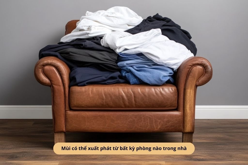 Mùi có thể xuất phát từ bất kỳ phòng nào trong nhà