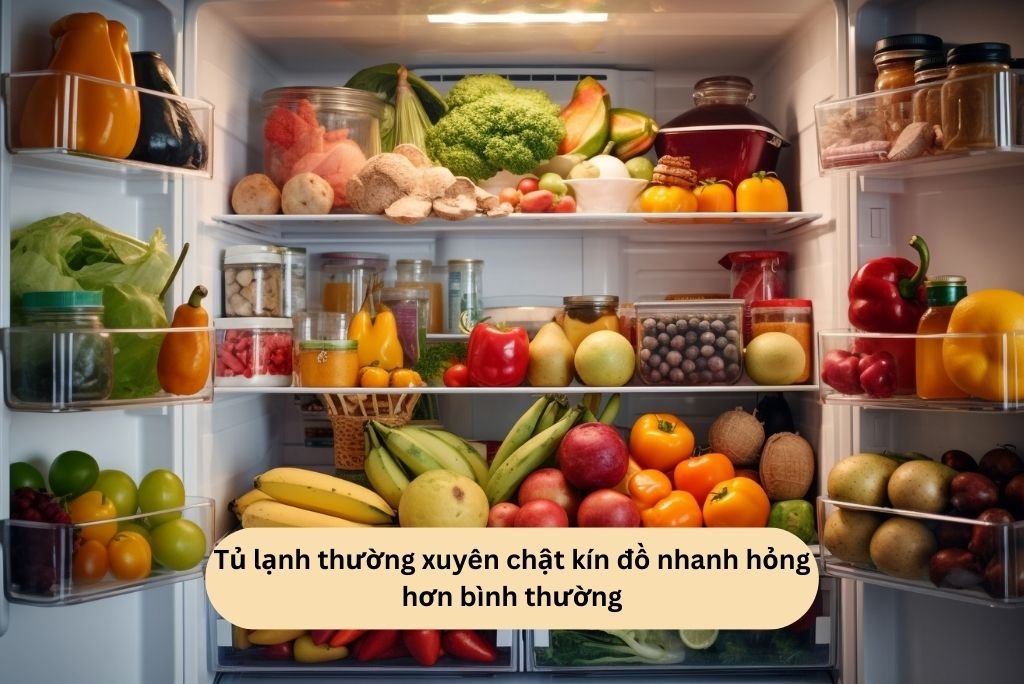 Tủ lạnh thường xuyên chật kín đồ nhanh hỏng hơn bình thường
